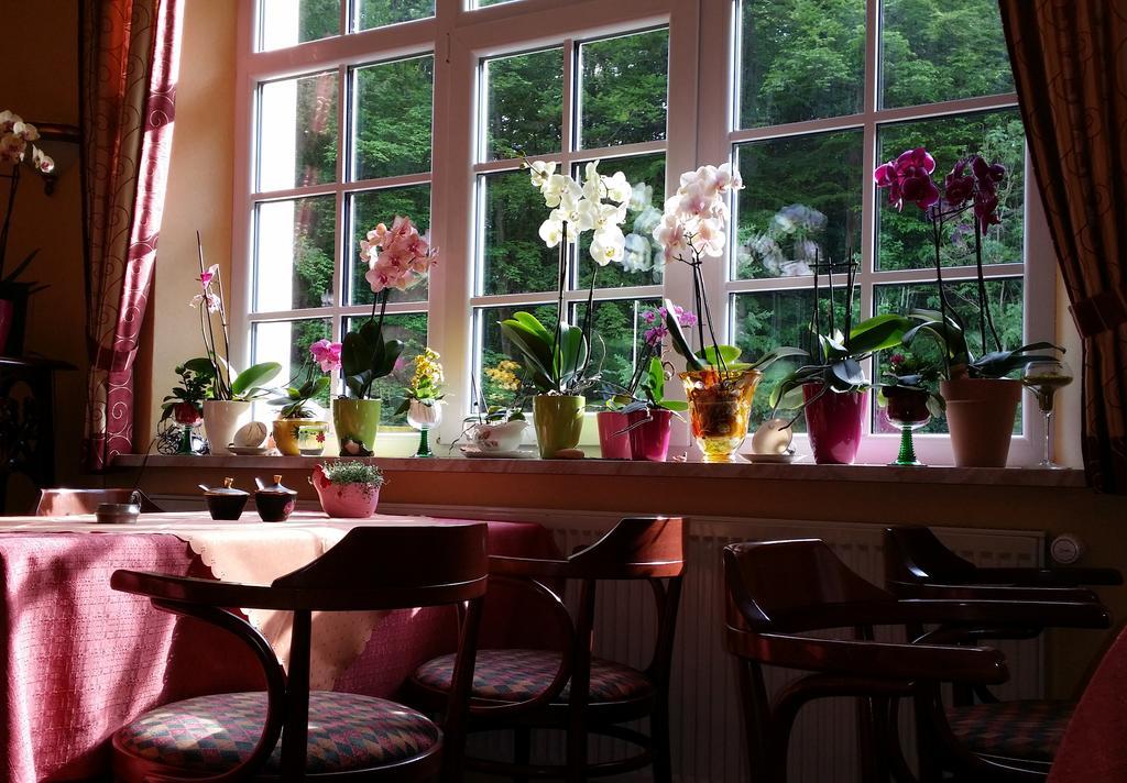 Rhoen Hotel Waldcafe St. Georg Staatsbad Bruckenau Exterior photo