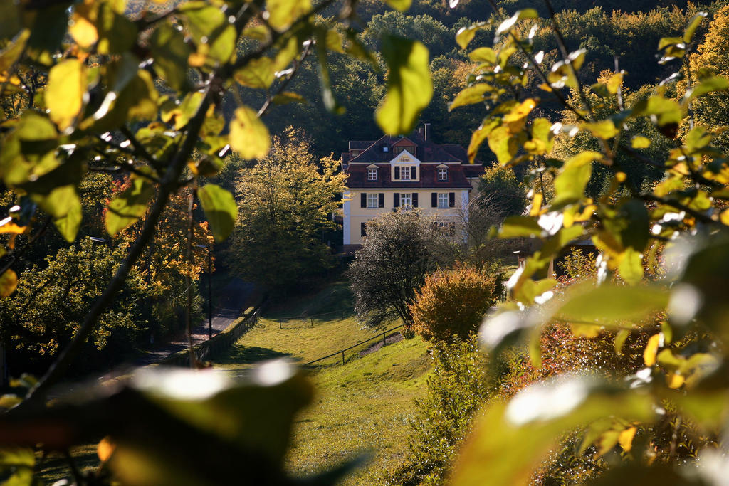 Rhoen Hotel Waldcafe St. Georg Staatsbad Bruckenau Exterior photo